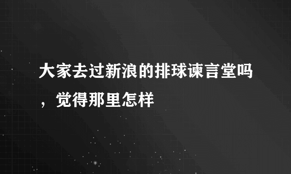 大家去过新浪的排球谏言堂吗，觉得那里怎样