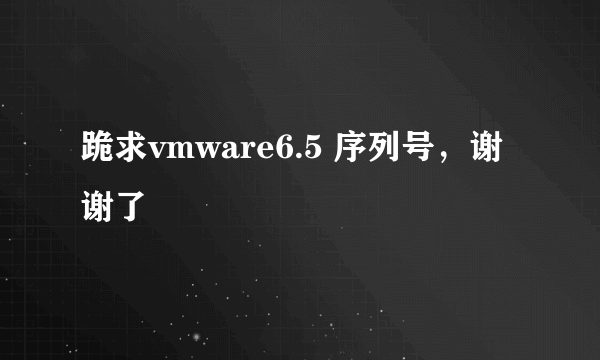 跪求vmware6.5 序列号，谢谢了