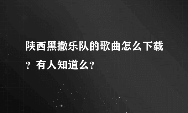 陕西黑撒乐队的歌曲怎么下载？有人知道么？