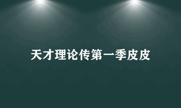 天才理论传第一季皮皮