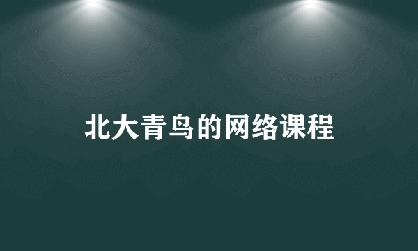 北大青鸟的网络课程