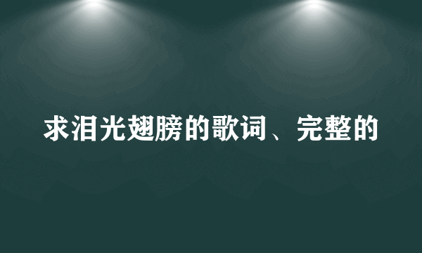 求泪光翅膀的歌词、完整的