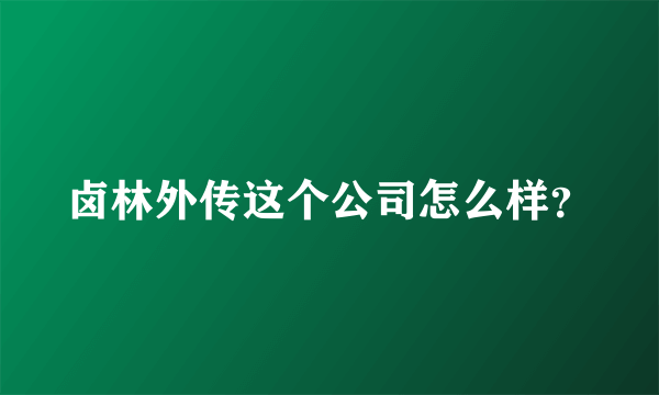 卤林外传这个公司怎么样？