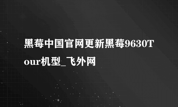 黑莓中国官网更新黑莓9630Tour机型_飞外网