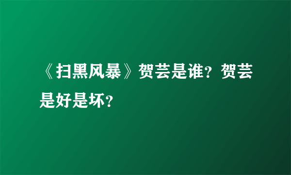 《扫黑风暴》贺芸是谁？贺芸是好是坏？