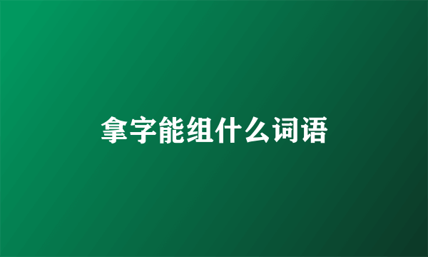 拿字能组什么词语