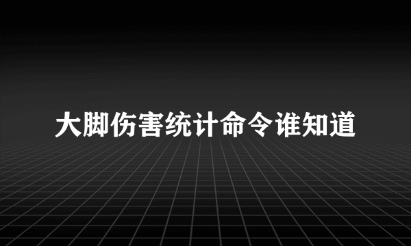 大脚伤害统计命令谁知道