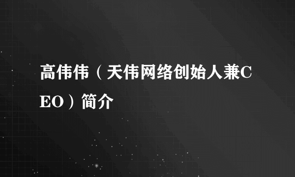 高伟伟（天伟网络创始人兼CEO）简介