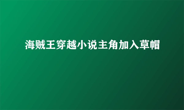 海贼王穿越小说主角加入草帽