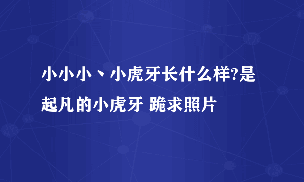 小小小丶小虎牙长什么样?是起凡的小虎牙 跪求照片