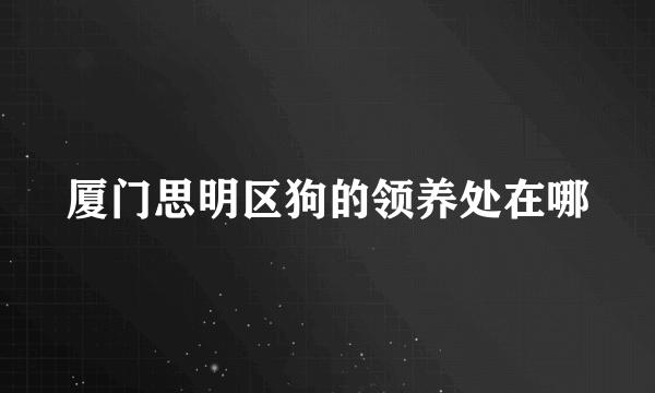 厦门思明区狗的领养处在哪