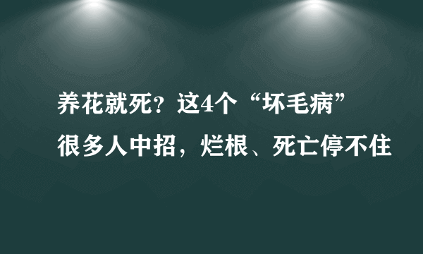 养花就死？这4个“坏毛病”很多人中招，烂根、死亡停不住