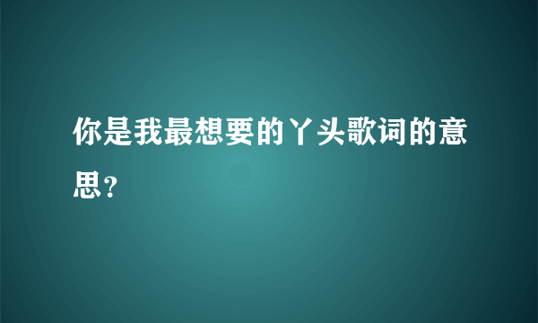 你是我最想要的丫头歌词的意思？