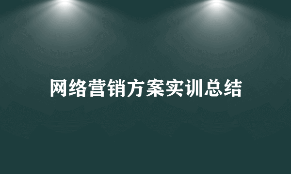 网络营销方案实训总结