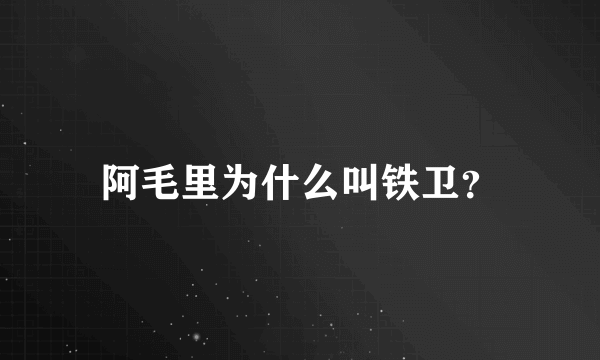 阿毛里为什么叫铁卫？