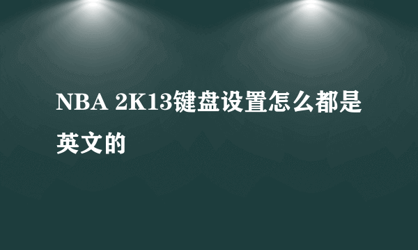 NBA 2K13键盘设置怎么都是英文的