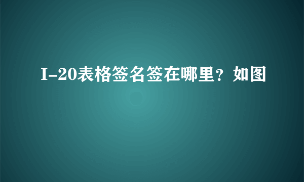 I-20表格签名签在哪里？如图