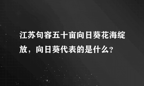 江苏句容五十亩向日葵花海绽放，向日葵代表的是什么？