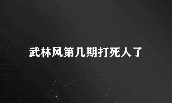 武林风第几期打死人了