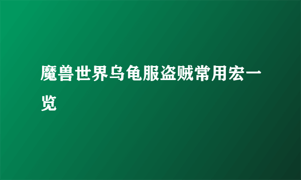 魔兽世界乌龟服盗贼常用宏一览