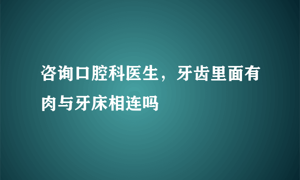 咨询口腔科医生，牙齿里面有肉与牙床相连吗