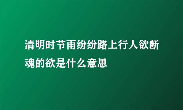 清明时节雨纷纷路上行人欲断魂的欲是什么意思