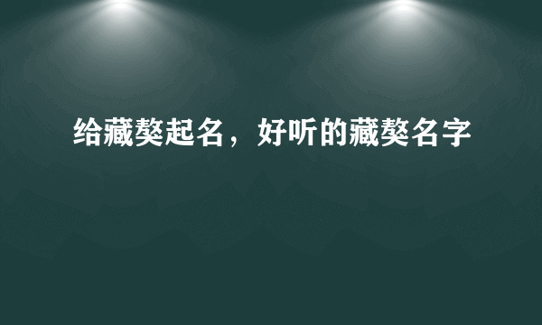 给藏獒起名，好听的藏獒名字