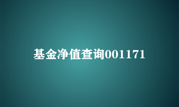 基金净值查询001171