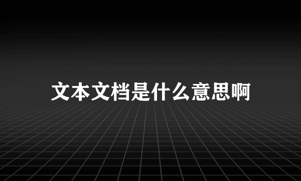 文本文档是什么意思啊