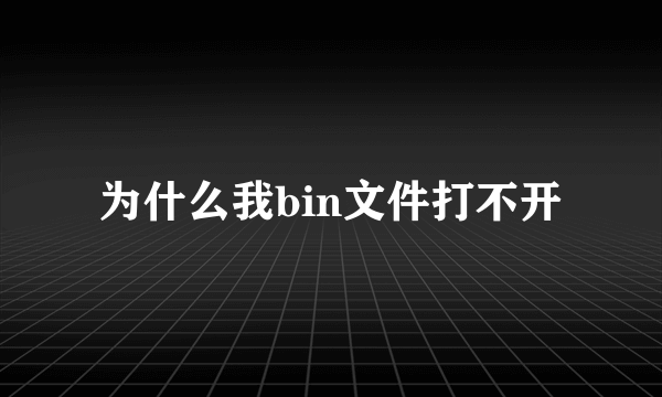 为什么我bin文件打不开