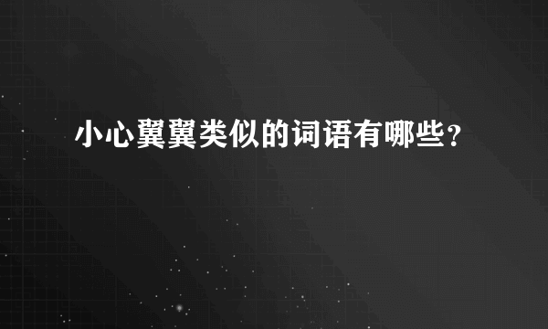 小心翼翼类似的词语有哪些？