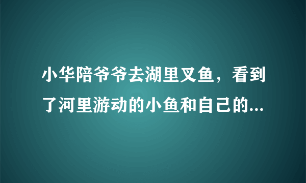 小华陪爷爷去湖里叉鱼，看到了河里游动的小鱼和自己的倒影，小华看到的“鱼”比实际位置______了，这是光的______现象造成的。若小华将电筒光对着看到的“鱼”射入，______（能/不能）照亮鱼。