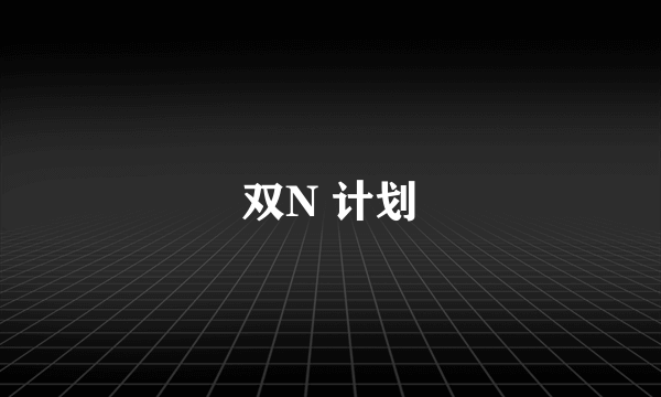 双N 计划