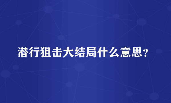 潜行狙击大结局什么意思？