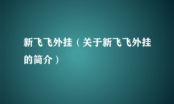 新飞飞外挂（关于新飞飞外挂的简介）