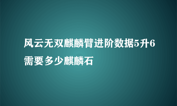 风云无双麒麟臂进阶数据5升6需要多少麒麟石