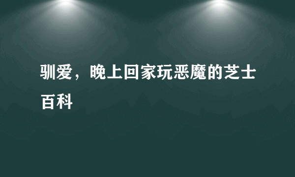 驯爱，晚上回家玩恶魔的芝士百科