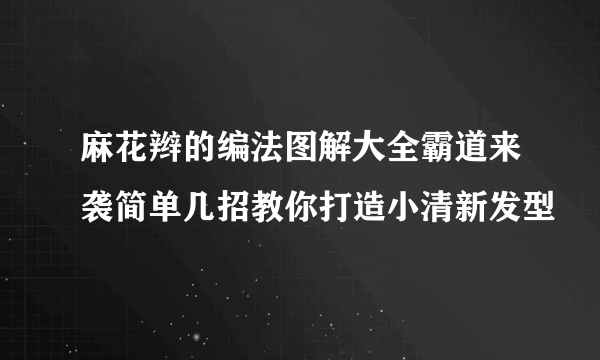 麻花辫的编法图解大全霸道来袭简单几招教你打造小清新发型