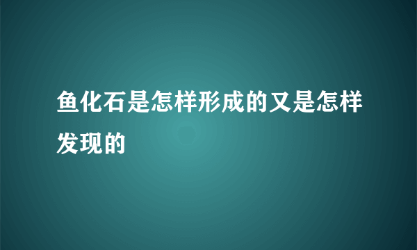 鱼化石是怎样形成的又是怎样发现的