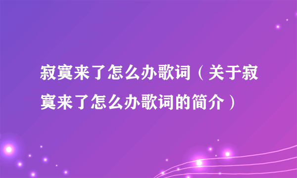 寂寞来了怎么办歌词（关于寂寞来了怎么办歌词的简介）