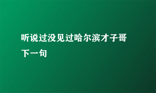 听说过没见过哈尔滨才子哥 下一句