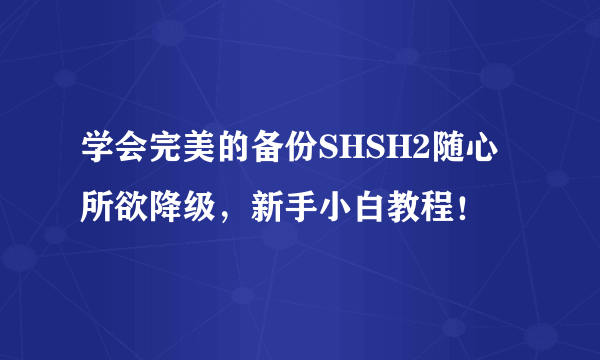 学会完美的备份SHSH2随心所欲降级，新手小白教程！