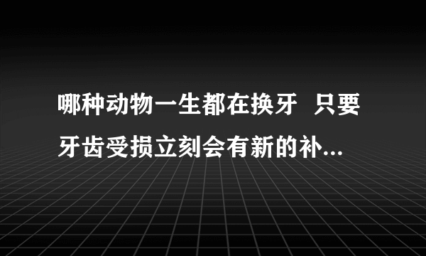 哪种动物一生都在换牙  只要牙齿受损立刻会有新的补上是什么鱼