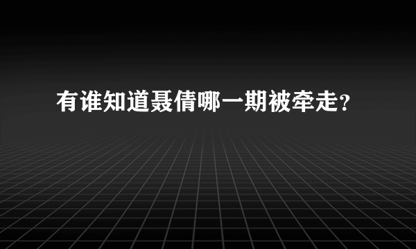 有谁知道聂倩哪一期被牵走？