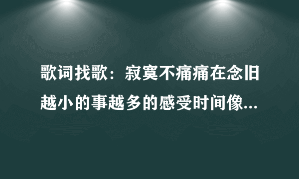 歌词找歌：寂寞不痛痛在念旧越小的事越多的感受时间像笨小偷把幸福打破留下了碎片让人难过寂寞不痛？