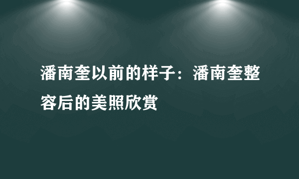 潘南奎以前的样子：潘南奎整容后的美照欣赏