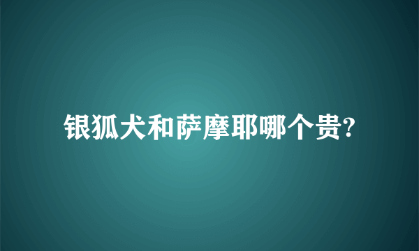 银狐犬和萨摩耶哪个贵?