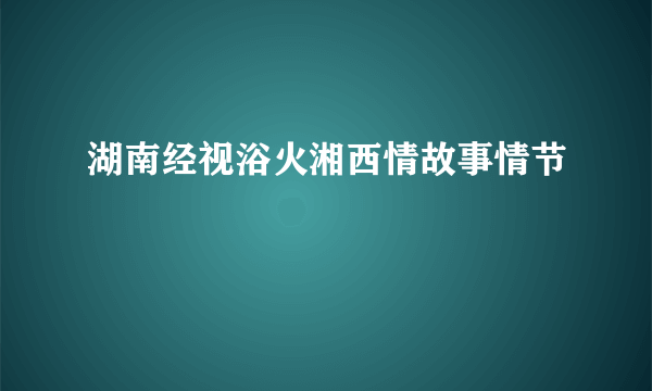 湖南经视浴火湘西情故事情节