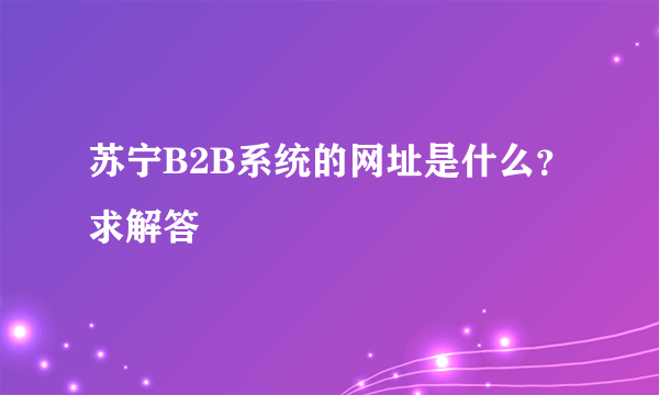 苏宁B2B系统的网址是什么？求解答