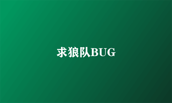 求狼队BUG